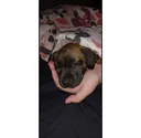 Seller avatar