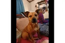 Seller avatar