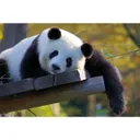 Seller avatar