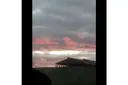 Seller avatar