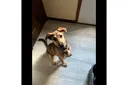 Seller avatar
